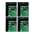 A2 Size Art Polyglass Pages 4-Pack M72094