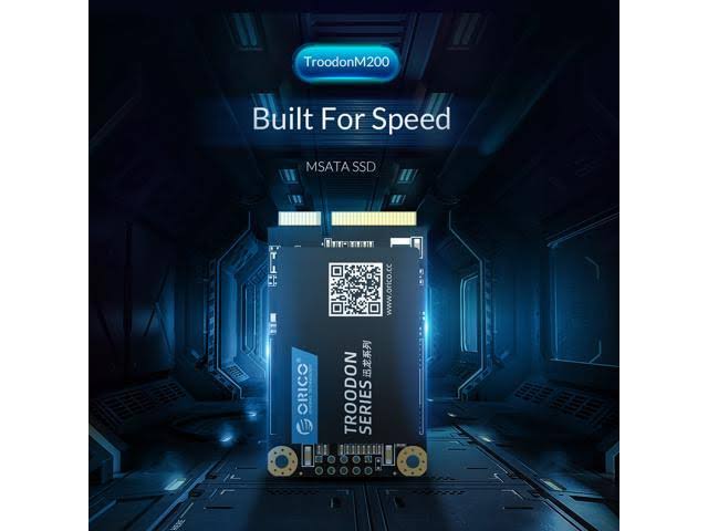 256GB mSATA SATA III Internal Solid State Drive I424139
