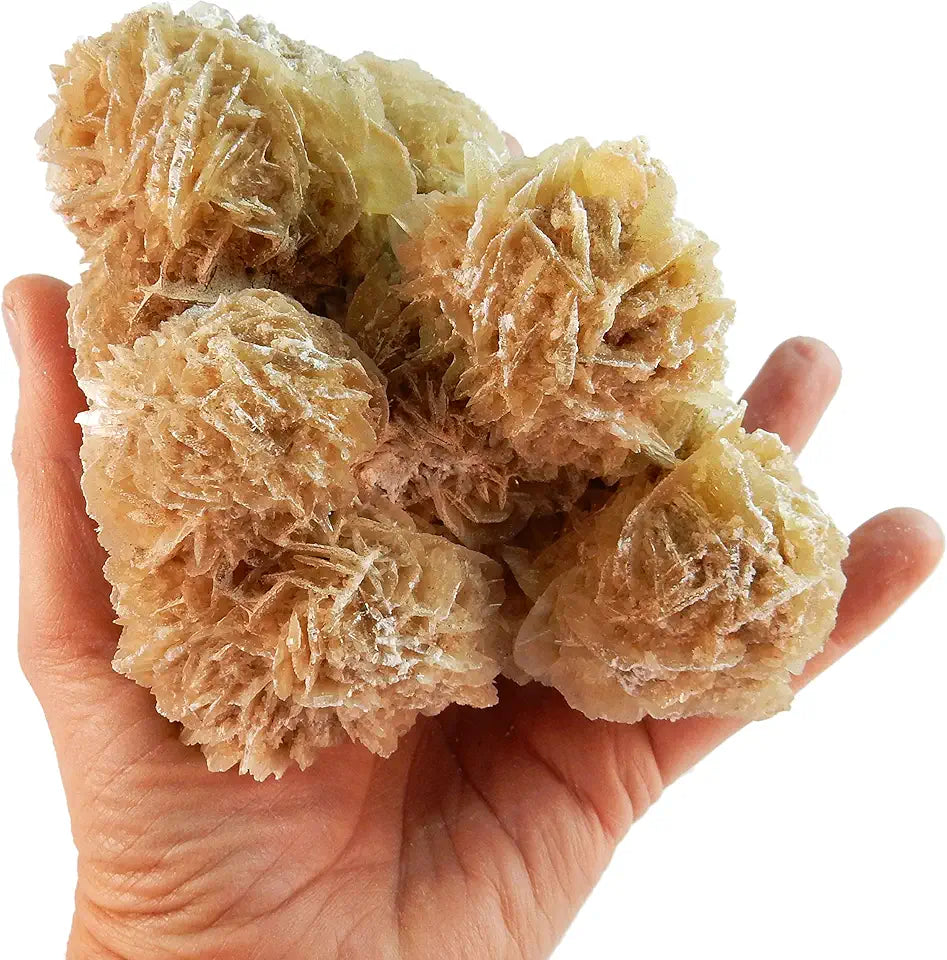 Large Raw Selenite Desert Rose Crystal Cluster O22340