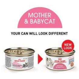 Canned Cat Food O406418