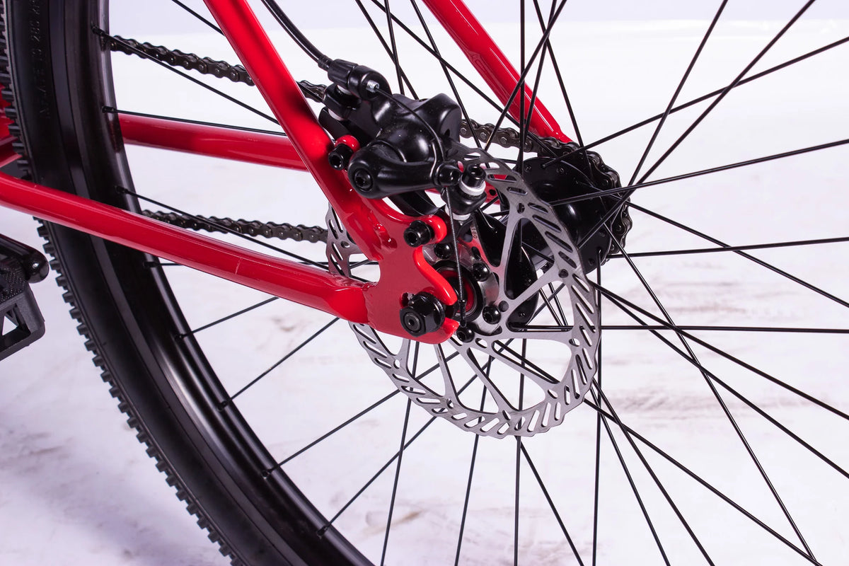 29" BMX Bicycle I402
