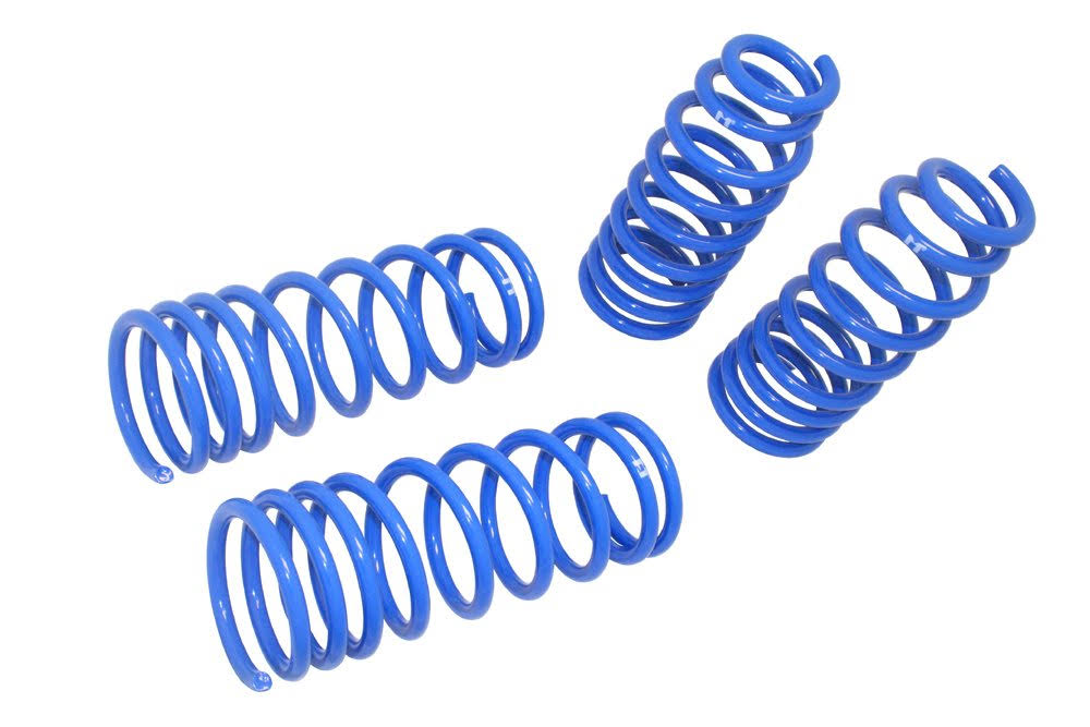 Lowering Springs E81120