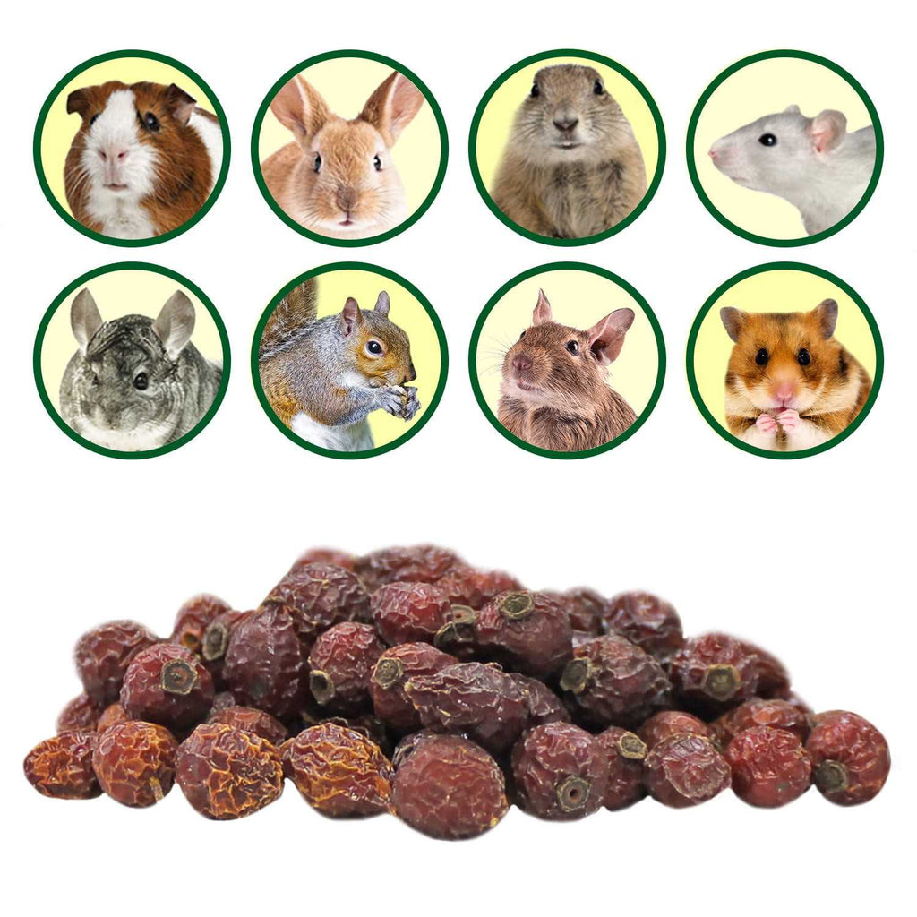 Dried Rose Hips Treat 3 oz O322
