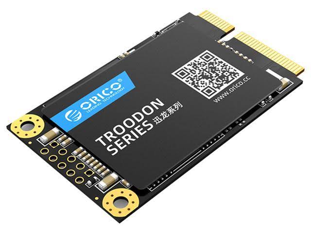 256GB mSATA SATA III Internal Solid State Drive I424139
