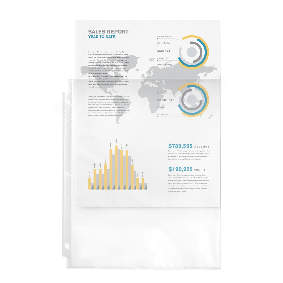 Semi-Clear Top Load Sheet Protectors for 3 Ring Binders, 200 Total D697