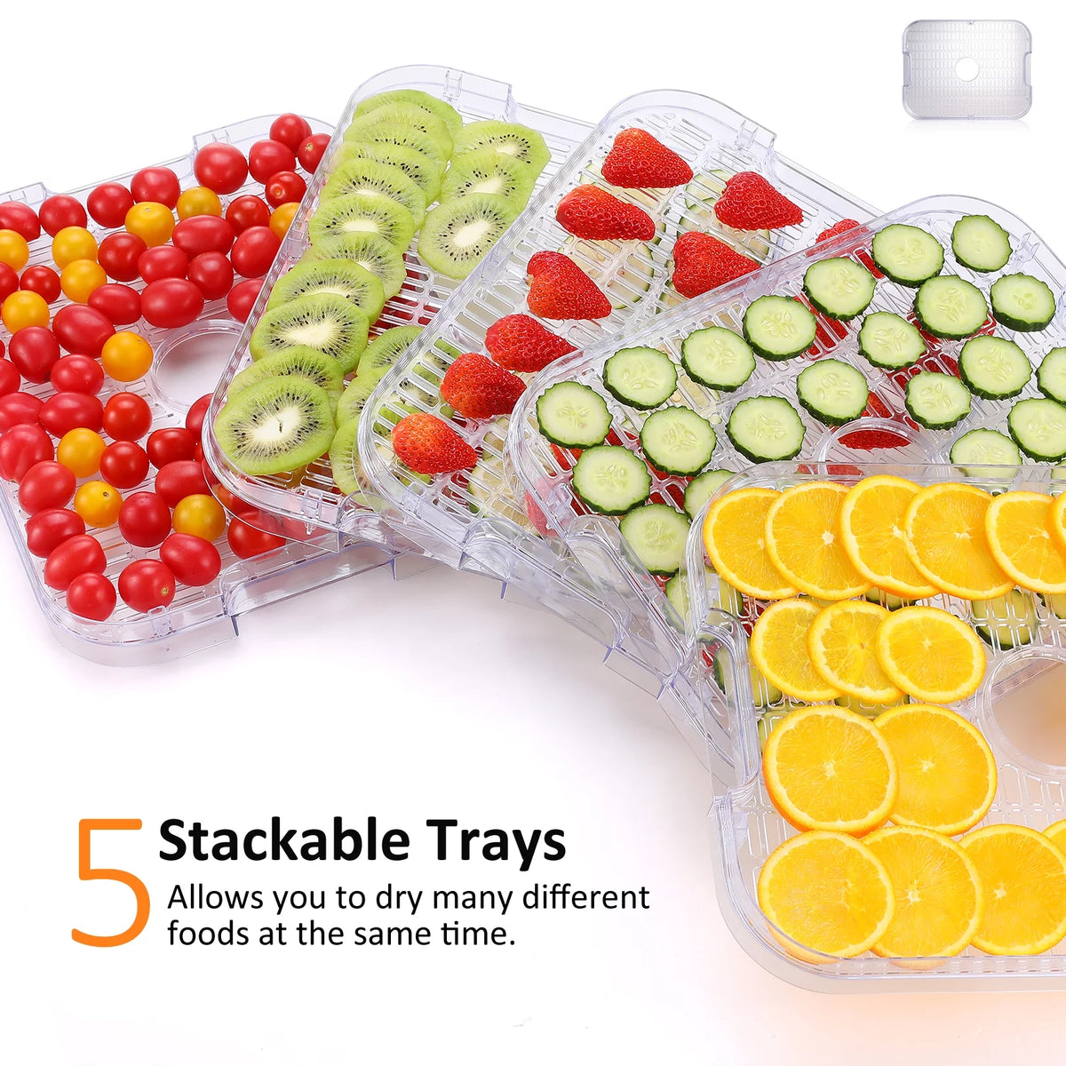 Electric Food Dehydrator, 250W, 5 Drying Trays, Stainless Steel, BPA Free R6204