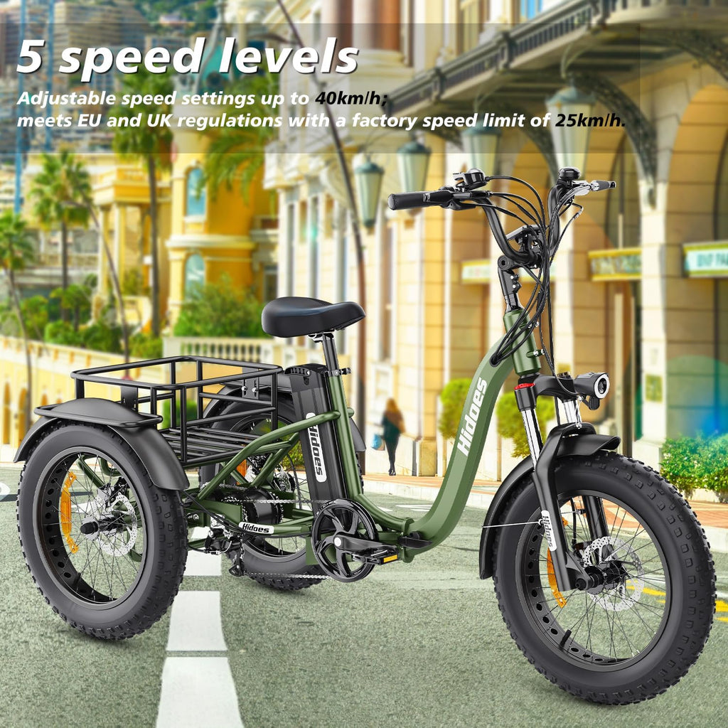 Electric Tricycle, 20"X 4.0" Fat Tire, 48V 20Ah Removable, 7 Speed Folding O526