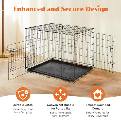 Large 36 Inch Double Door Folding Metal Wire Dog Crate with Divider Panel and Plastic Leak-Proof Pan Tray O34057