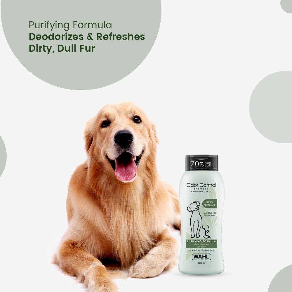 Odor Control Shampoo I764167