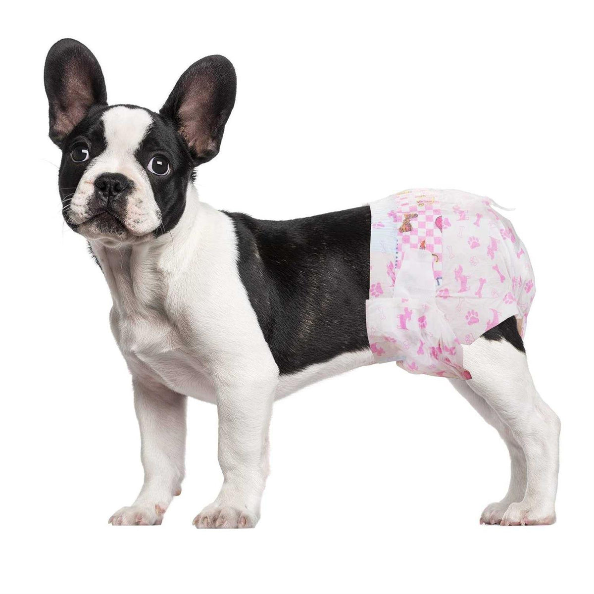 Super Absorbent Disposable Dog Diapers M109806