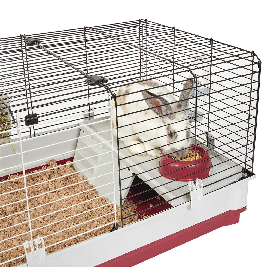 Rabbit Home A605439