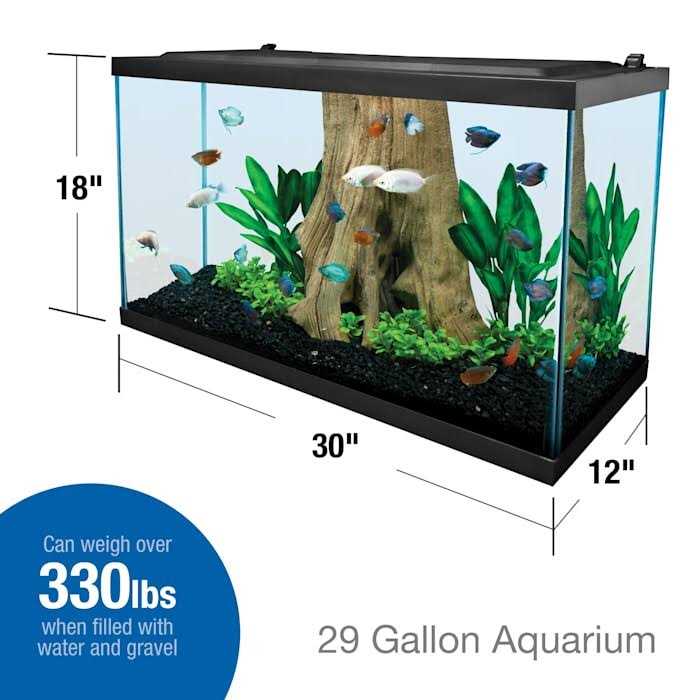 29 Gallon Glass Aquarium F117