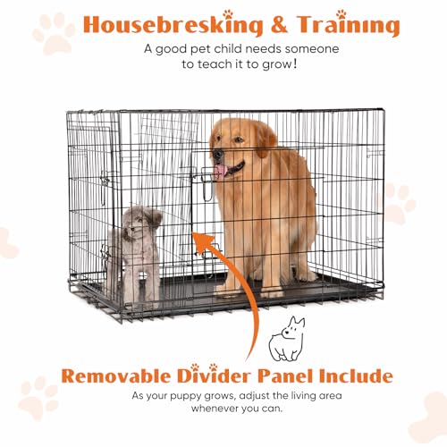 Large 36 Inch Double Door Folding Metal Wire Dog Crate with Divider Panel and Plastic Leak-Proof Pan Tray O34057