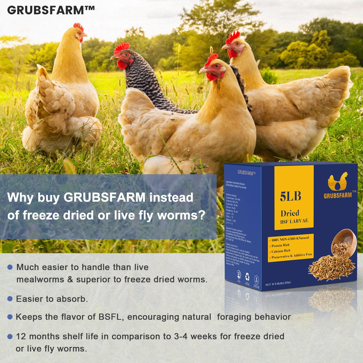 5 LBS Chicken Treats E7202