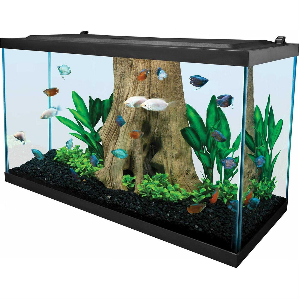 29 Gallon Glass Aquarium F117