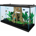 29 Gallon Glass Aquarium F117
