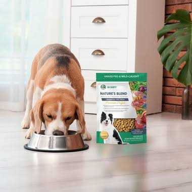 Freeze-Dried Dog Food L9725