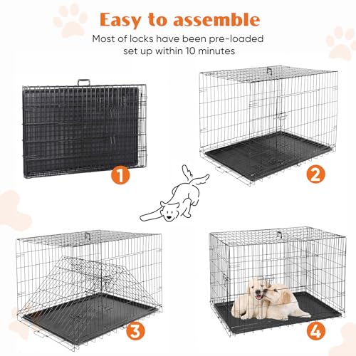 Large 36 Inch Double Door Folding Metal Wire Dog Crate with Divider Panel and Plastic Leak-Proof Pan Tray O34057
