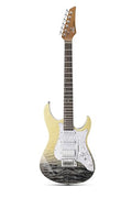 39 Inch Electric Guitar with Tremolo Bridge S53319