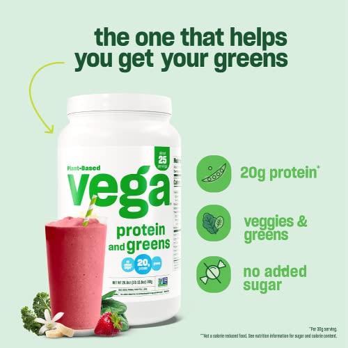 Chocolate Plant Based Pea Protein Powder, 1lbs S411846