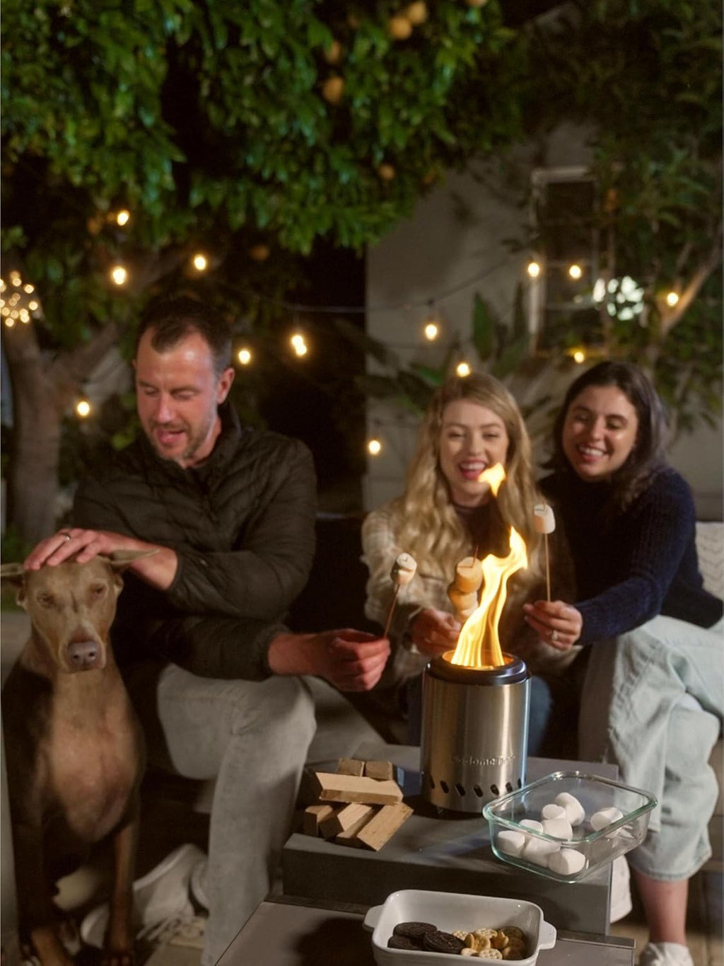 Silver Stainless Steel Tabletop Fire Pit with Travel Bag M400341