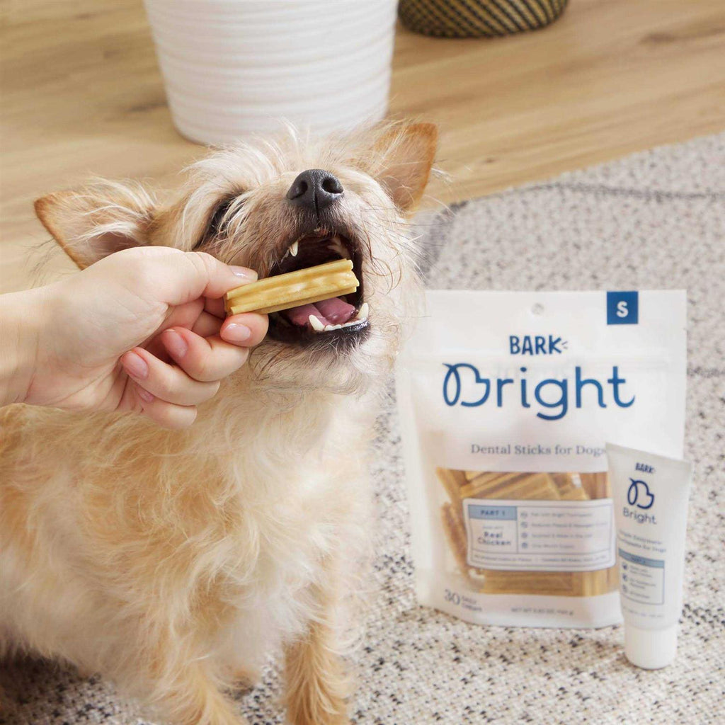 Dental Sticks for Large Dogs Chews K4657