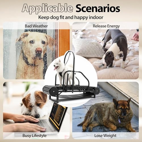 Non-Electric Dog Treadmill with Step Counter, Adjustable Incline & Brake I6034