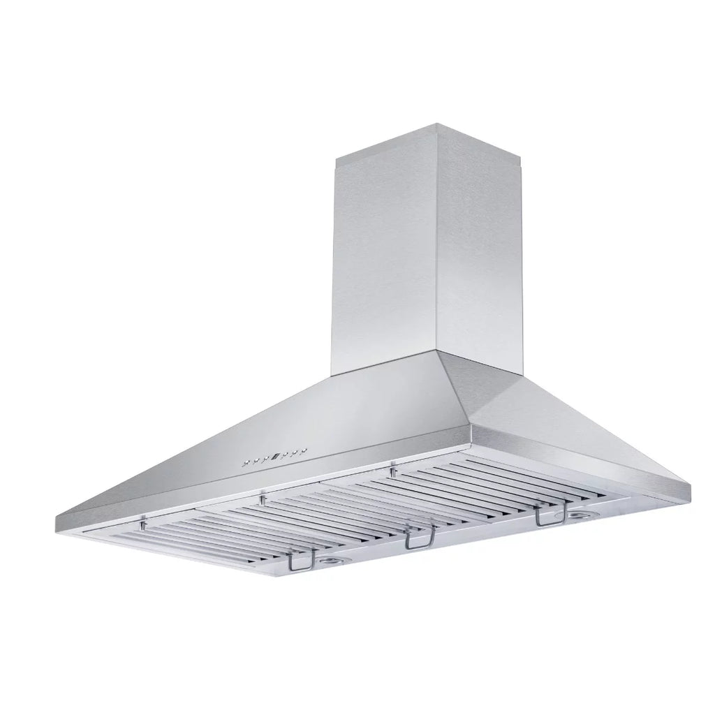 30 Inch Wall Range Hood with 2 LED Lights D347