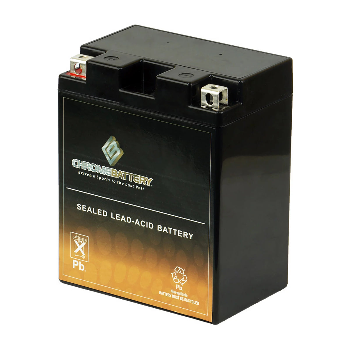 12 Volts 12 Ah 210 Cca ATV Battery X8492