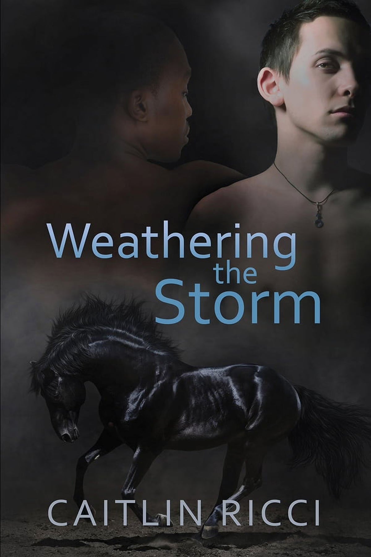 Weathering the Storm (Paperback) G107