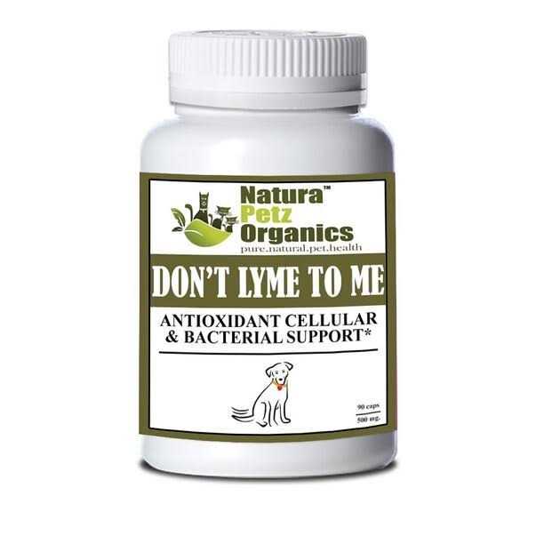 Antioxidant Cellular & Bacterial Support Capsules B5208
