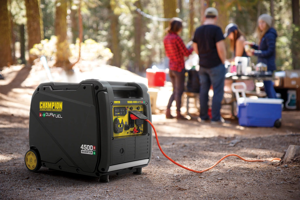 4500-Watt Portable Dual Fuel Inverter Generator D23483