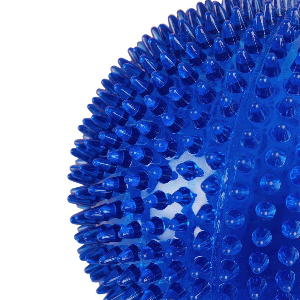 Spiny Ball Dog Chew Toy Q746