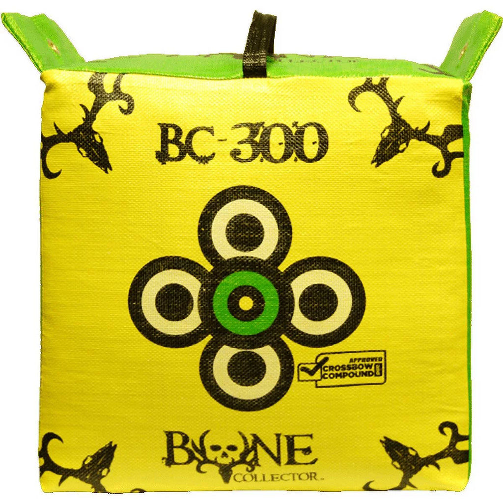Archery Target I554