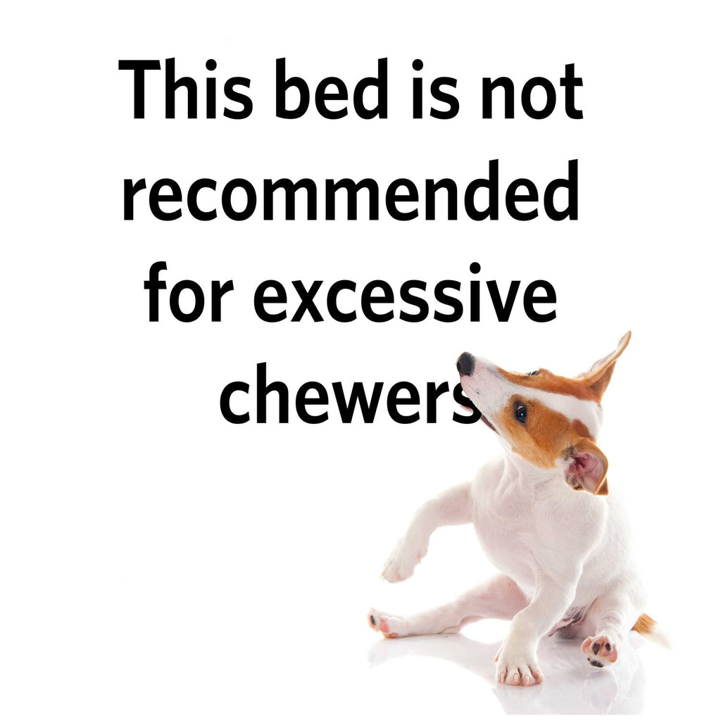 Quiet Time Maxx Pet Bed V201