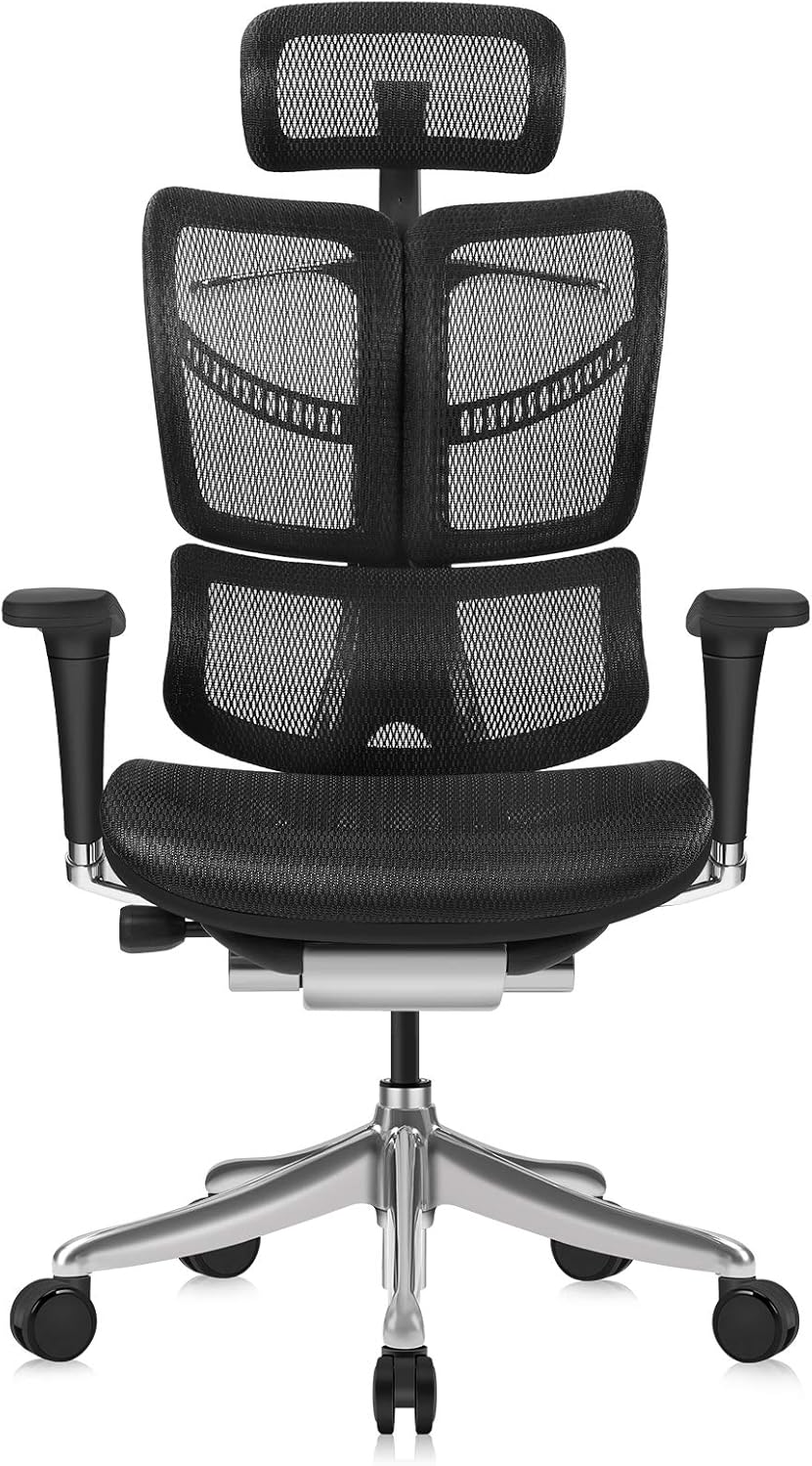Ergonomic Office Chair with Headrest, Aluminum Frame, Standard Carpet Casters R690251