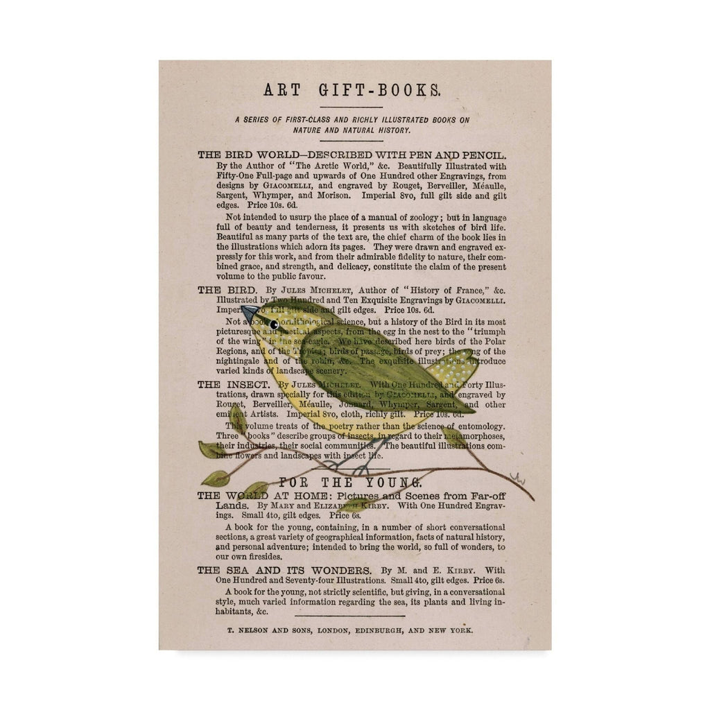 Willow Warbler Canvas Art T4681
