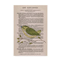 Willow Warbler Canvas Art T4681