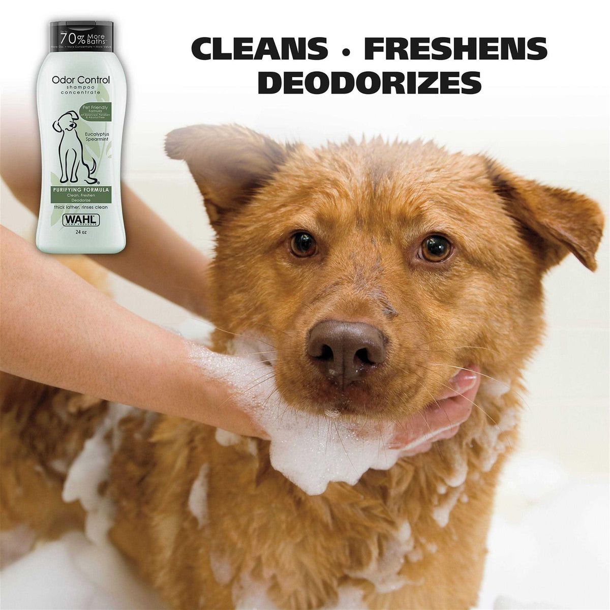 Odor Control Shampoo I764167