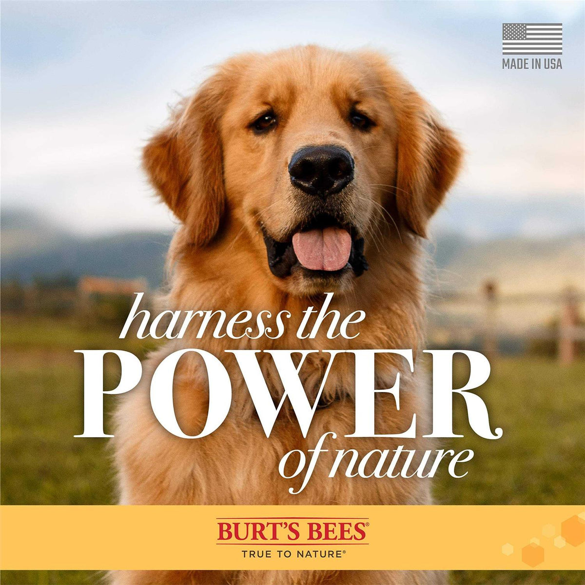 Shed Control Shampoo for Dogs with Omega-3 Vitamin E B755