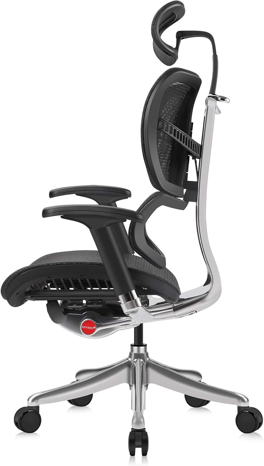 Ergonomic Office Chair with Headrest, Aluminum Frame, Standard Carpet Casters R690251