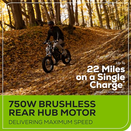 Greenworks 80V A83357