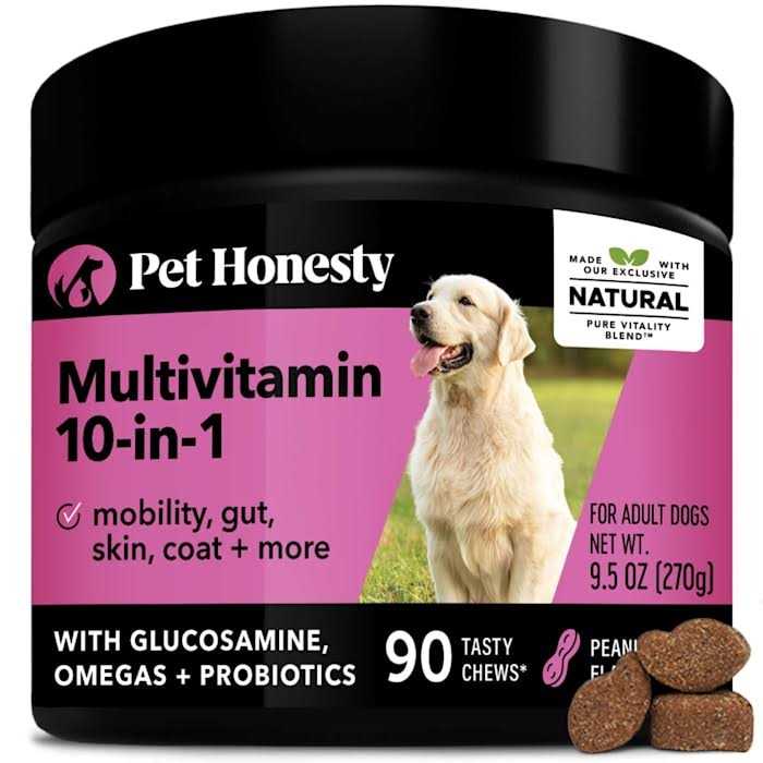 10 in 1 Multivitamin Glucosamine Soft Chews H42866