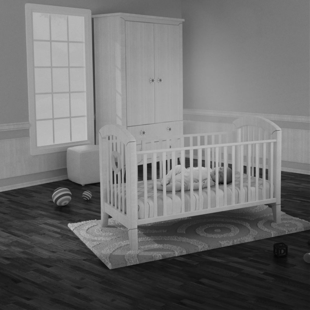 Video Baby Monitor F4546