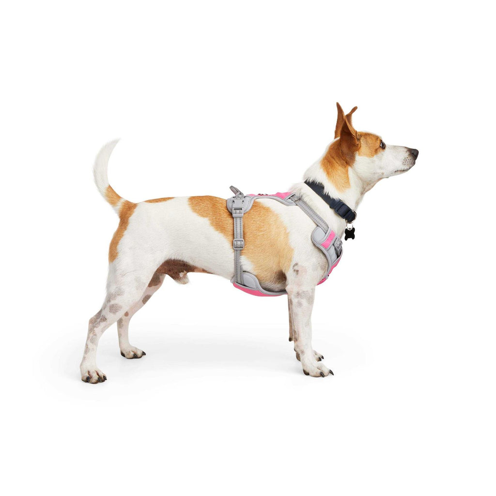 Reflective Dog Harness G449