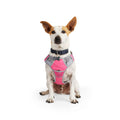 Reflective Dog Harness G449