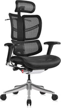 Ergonomic Office Chair with Headrest, Aluminum Frame, Standard Carpet Casters R690251