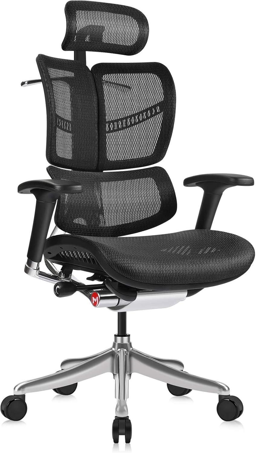 Ergonomic Office Chair with Headrest, Aluminum Frame, Standard Carpet Casters R690251